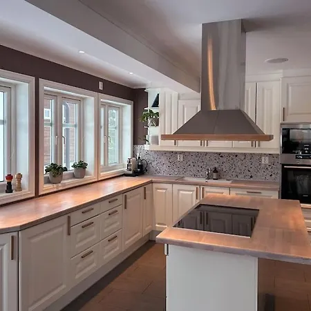 Stor Enebolig I Villa Trondheim