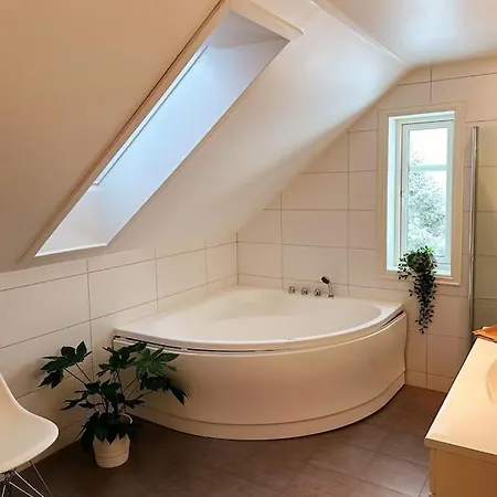 Stor Enebolig I Villa