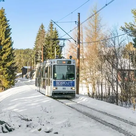 ヴィラ Stor Enebolig I *