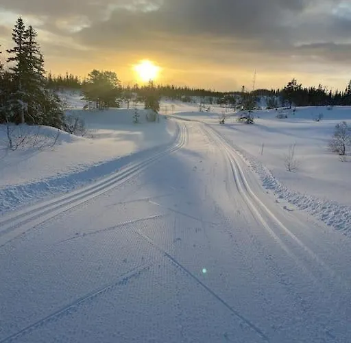 Stor Enebolig I Villa *