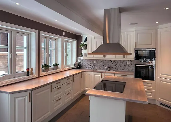 Stor Enebolig I Willa Trondheim