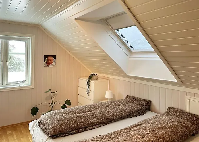 Stor Enebolig I *