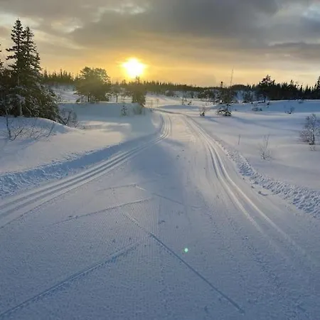 Stor Enebolig I Villa *