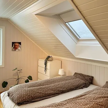 Stor Enebolig I *
