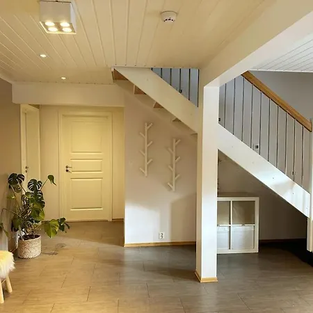Stor Enebolig I